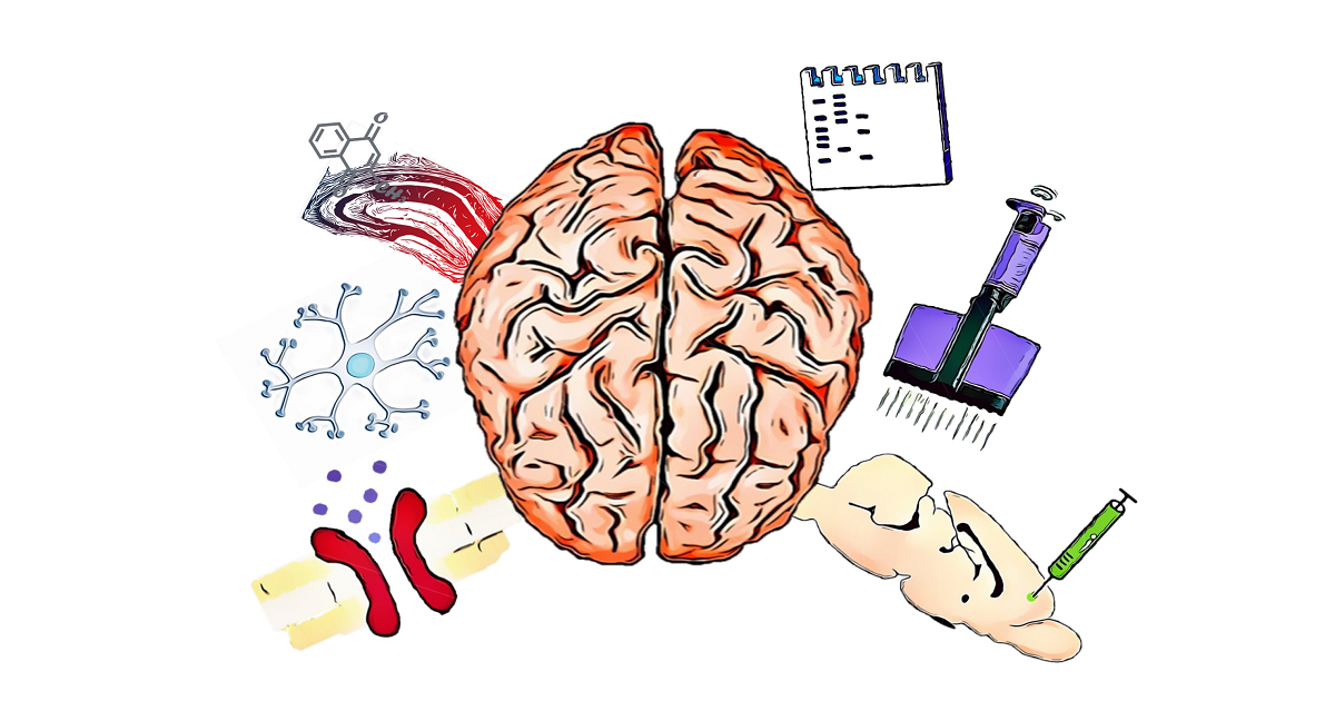 Graphical abstract
